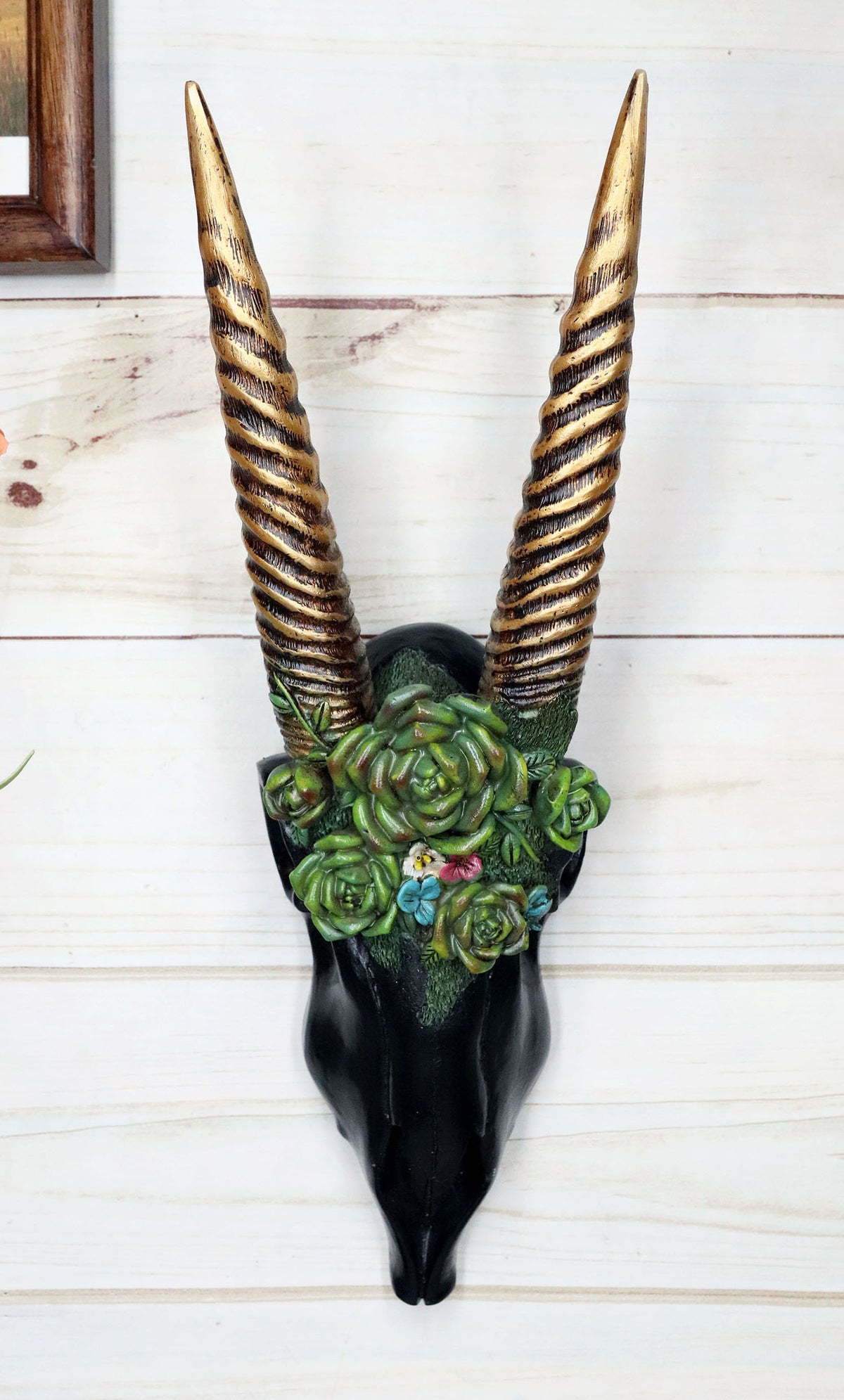 Western Rustic Black Rhim Gazelle Antelope Skull With Roses Wall Trophy Decor