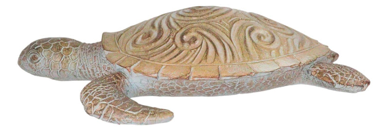 Marine Life Sand Colored Sea Turtle With Ocean Wave Swirls Shell Wall Decor