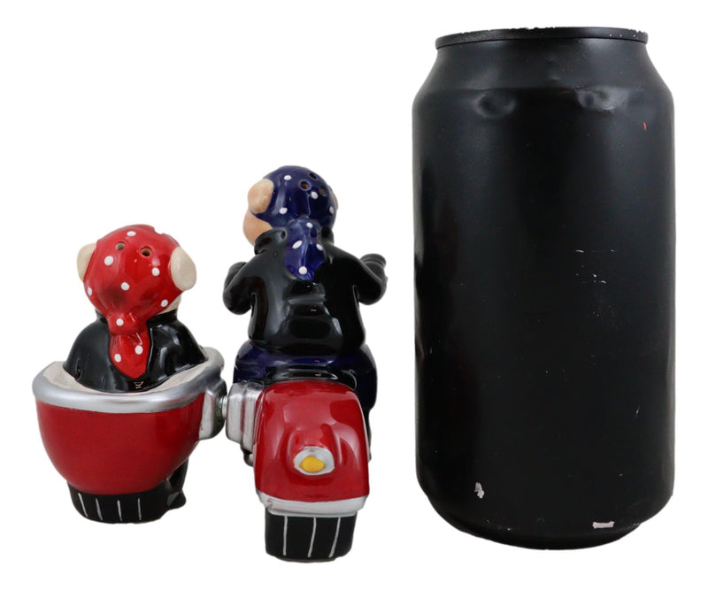 Hog Rider Riding Pig Hog Riders Biker Pig Couple Riding Motorcycle Side Car Rig Salt Pepper ...