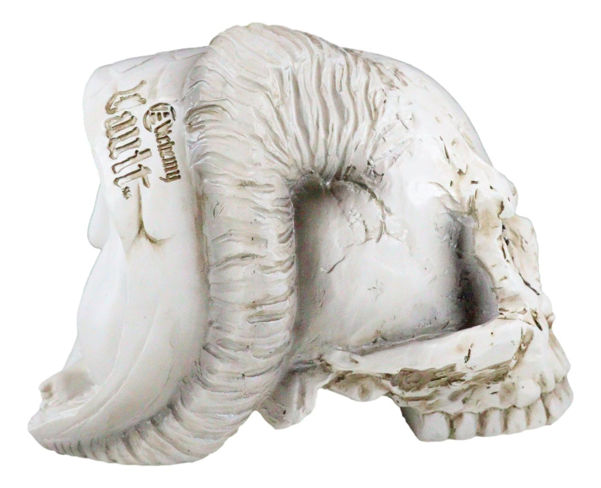 Gothic Angel Of Hades Ram Horned Skull With Nude Winged Redemption Figurine