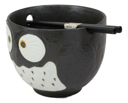 Whimsical Ceramic Black Owl Ramen Udong Noodles Soup Bowl With Chopsticks Set