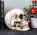 Romantic Goth Skull Biting A Stalk Of Red Rose Statue Lover Never Dies Eternal