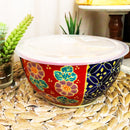 Set of 2 Ceramic Blue Red Floral Patterns Portion Meal Bowls 5 Cups Airtight Lid