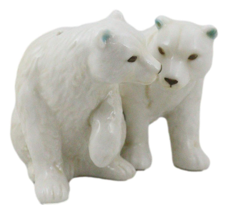 Arctic North Pole Polar Bears Couple Side By Side Ceramic Salt Pepper Shaker Set