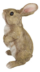 Whimsical Curious Mother Bunny Rabbit Standing Pet Pal Fairy Garden Figurine