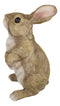 Whimsical Curious Mother Bunny Rabbit Standing Pet Pal Fairy Garden Figurine