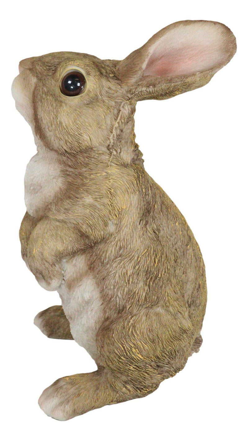 Whimsical Curious Mother Bunny Rabbit Standing Pet Pal Fairy Garden Figurine