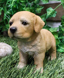 Adorable Labrador Puppy Dog with Begging Glass Eyes Figurine Pet Pal Animal Art