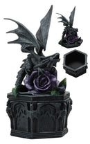 Gothic Dragon Beauty Jewelry Box Figurine By Anne Stokes Purple Royalty Rose
