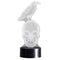 Ebros Gothic Raven On Grinning Skull Acrylic Art Panel Colorful LED Night Light