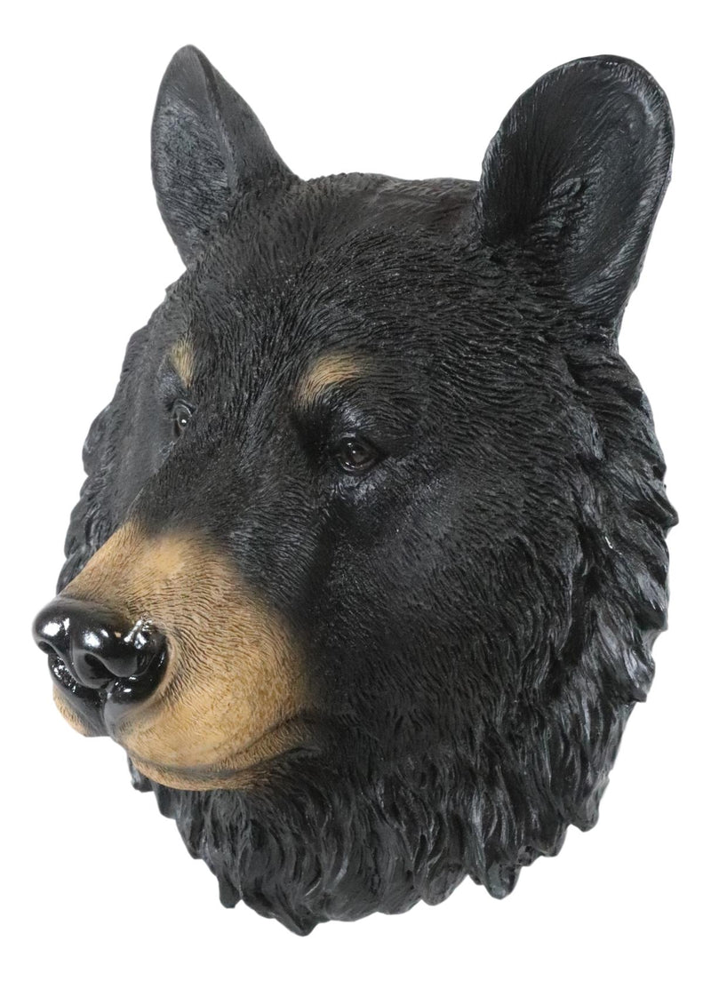 Ebros Gift The Brave Black Bear Head Wall Decor Plaque 8"H Wall Decor Plaque