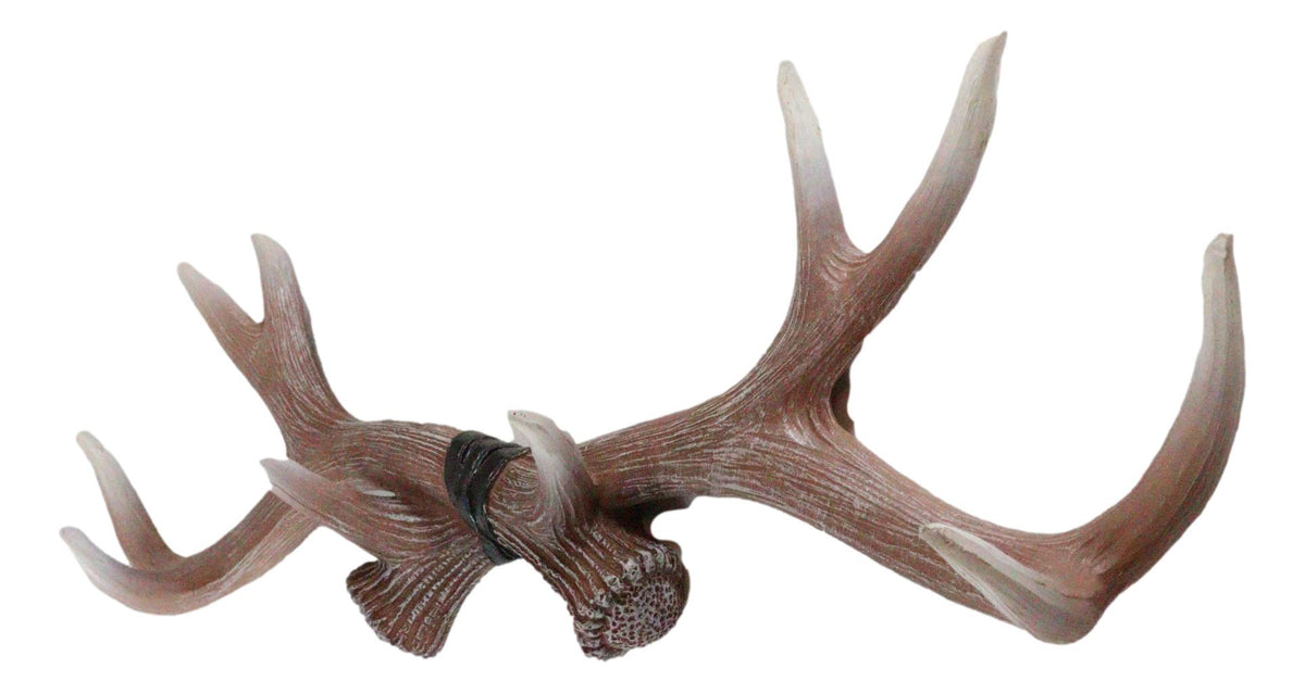Ebros White Rustic 10 Point Stag Deer Antlers Rack Wall Plaque 17"W Coat Hooks
