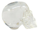 Ebros Clear Translucent Witching Hour Gazing Skull Statue 5.5"L Made Of Acrylic