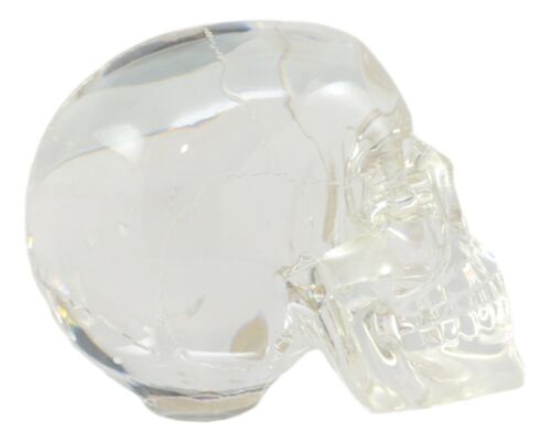 Ebros Clear Translucent Witching Hour Gazing Skull Statue 5.5"L Made Of Acrylic
