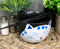 Ebros Whimsical Ceramic Black Lucky Meow Cat Ramen Noodle Bowl & Chopsticks Set