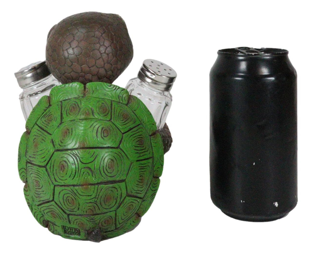 Turtle Shell Shakes Shell Spice Marine Baby Tortoise Turtle Salt And Pepper Shakers Holder ...