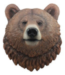 Ebros Brutus Realistic Large Brown Grizzly Bear Head Wall Decor 3D Plaque 15.5"Tall