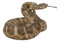 Ebros Realistic Diamondback Rattlesnake Hand Painted Taxidermy Statue 8.25"Long