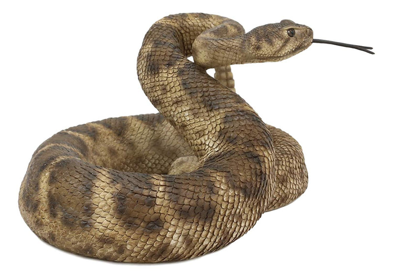 Ebros Realistic Diamondback Rattlesnake Hand Painted Taxidermy Statue 8.25"Long