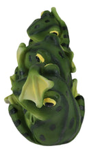 Ebros Whimsical Funny See Hear and Speak No Evil Trio Amphibian Frogs Figurine