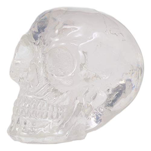 Set Of 4 Clear Translucent Witching Hour Gazing Skull Miniature Figurine 2.5"L