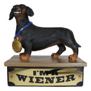 Award Trophy Dachshund Puppy Dog With Gold Medal Standing On Stage Figurine