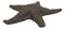 Ebros Cast Iron Sea Star Shell Starfish in Rustic Bronze Finish 7.75" Wide