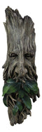 Ebros Celtic Greenman Enigma Face Wall Hanging Sculpture Decor 15" High