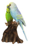 Ebros Parakeets Perching on Branch with Motion Activated Bird Sound Figurine
