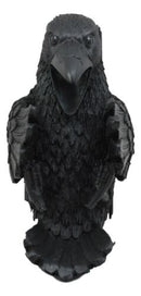 Ebros Macabre Potion Raven Crow Mystical Wine Bottle Holder Figurine