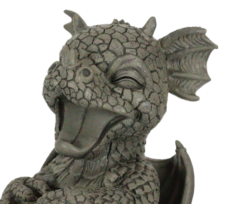 Ebros Whimsical L.O.L Soul Garden Laughing Out Loud Dragon Statue 7.75" Tall Faux Stone Resin Finish Hilarious LOL Fantasy Animated Dragons Welcome Guest Greeter Decor Figurine