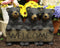 Ebros Large Whimsical Rustic Forest 3 Black Brother Bear Cubs Holding Welcome Sign Wooden Plank Statue 21.25" Wide Family Bears Siblings Western Cabin Lodge Garden Patio and Home Decor Figurine
