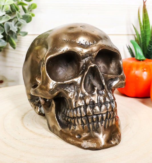 Ebros Bronzed Homosapien Skull Figurine 4.5"L Miniature Halloween Collectible - Ebros Gift