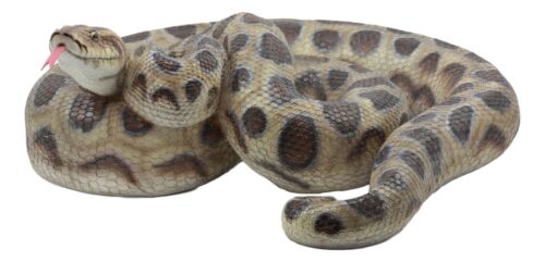 Large Lifelike Python Statue Realistic Snake Taxidermy 3D Figurine 17 ...