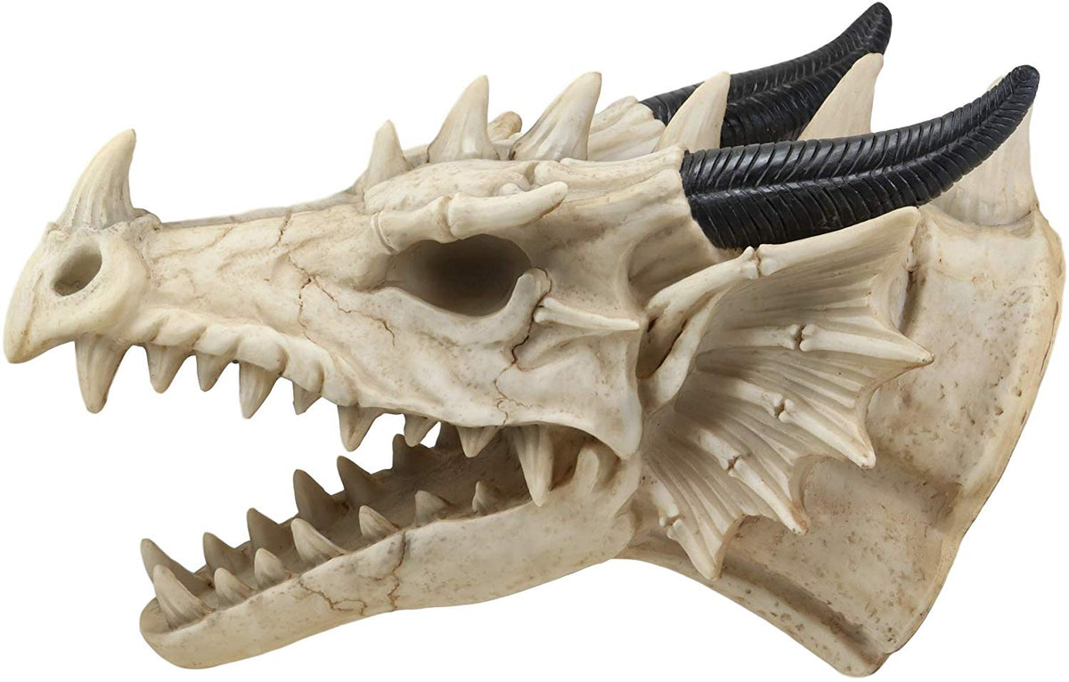 Ebros 13"D Medieval Fantasy Necromancer Roaring Dragon Skull Wall Decor Plaque