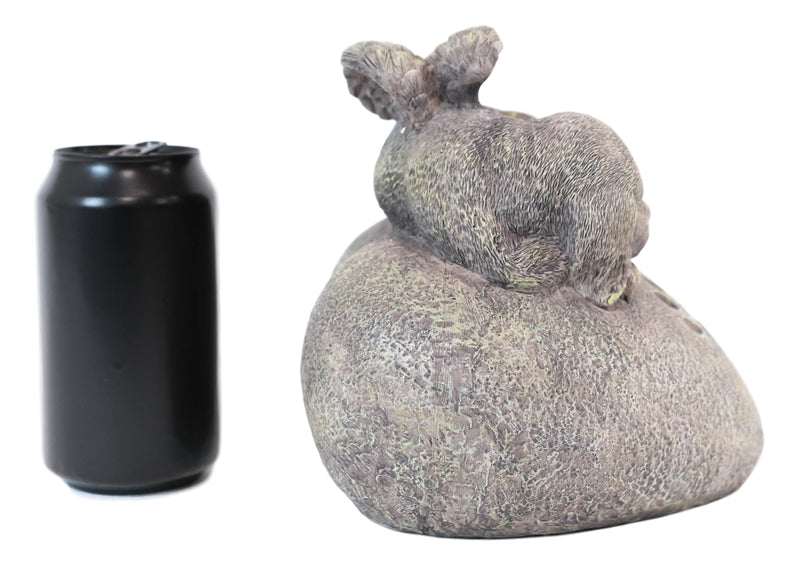 Pet Memorial My Love Sleeping Angle Dog Foot Print Rock Urn Bottom