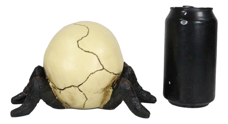 Creepy Crawler Tarantula Arachnid Skulltula Spider Bizarre Skull Figurine Decor