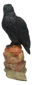Edgar Poe Realistic Goth Raven Crow Perching On Rocks Figurine Macabre Dark Arts