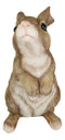Whimsical Curious Mother Bunny Rabbit Standing Pet Pal Fairy Garden Figurine