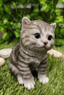 Ebros Lifelike Sitting Grey Tabby Cat Statue 6.75" Tall with Glass Eyes Hand Painted Realistic Feline Kitten Cat Decor Figurine