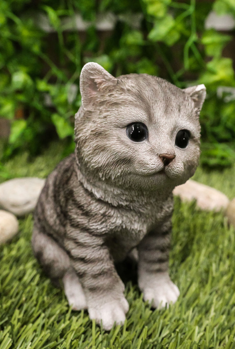 Ebros Lifelike Sitting Grey Tabby Cat Statue 6.75" Tall with Glass Eyes Hand Painted Realistic Feline Kitten Cat Decor Figurine