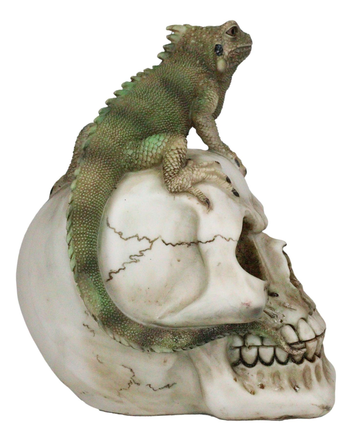 Jointed Human Skull With Iguana Lizard Figurine Halloween Spooky Macabre Decor