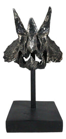 Jurassic '3 Horns' Triceratops Dinosaur Fossil Skeleton Statue With Stand 9"L