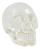 Ebros Clear Translucent Witching Hour Gazing Skull Statue 5.5"L Made Of Acrylic