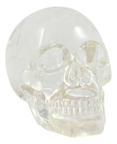 Ebros Clear Translucent Witching Hour Gazing Skull Statue 5.5"L Made Of Acrylic
