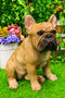 Large Lifelike Realistic French Bulldog Statue With Glass Eyes 15.75"H Frenchie