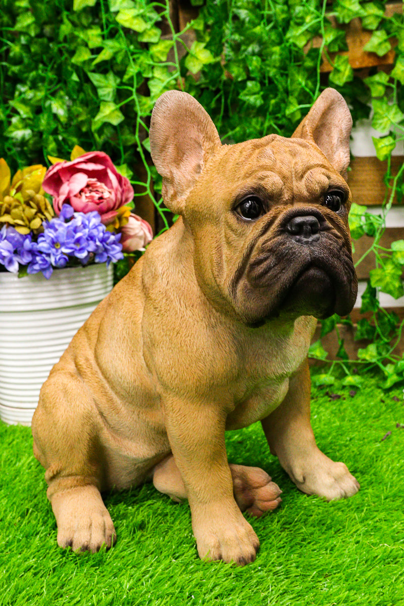 Large Lifelike Realistic French Bulldog Statue With Glass Eyes 15.75"H Frenchie