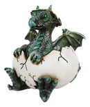 Small Green Whimsical Dragon Baby Hatchling In Egg Statue Fantasy Dragon Egg