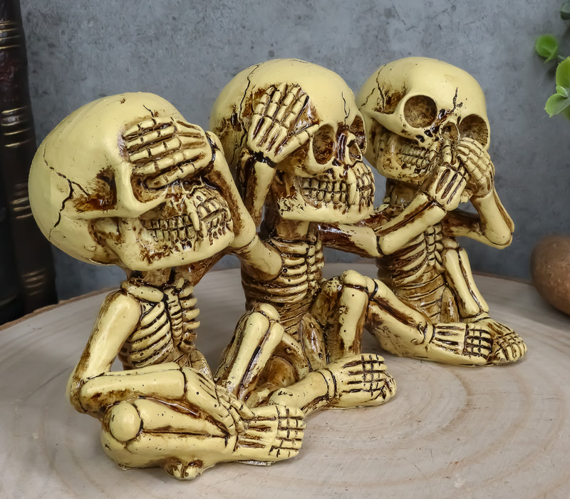 Ebros Gothic Alchemy See Hear Speak No Evil Skeletons Macabre Figurine