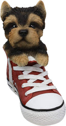 Ebros Paw-Star Pups Yorkie Yorkshire Terrier in Sneaker with Glass Eyes Figurine